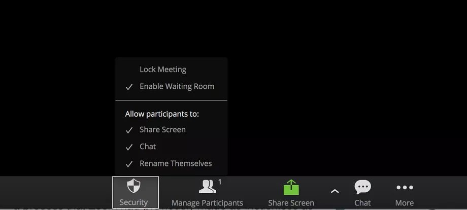 videoconferencing app Zoom