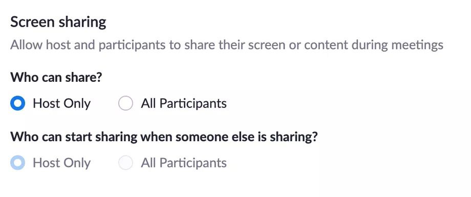 Zoom screen sharing options