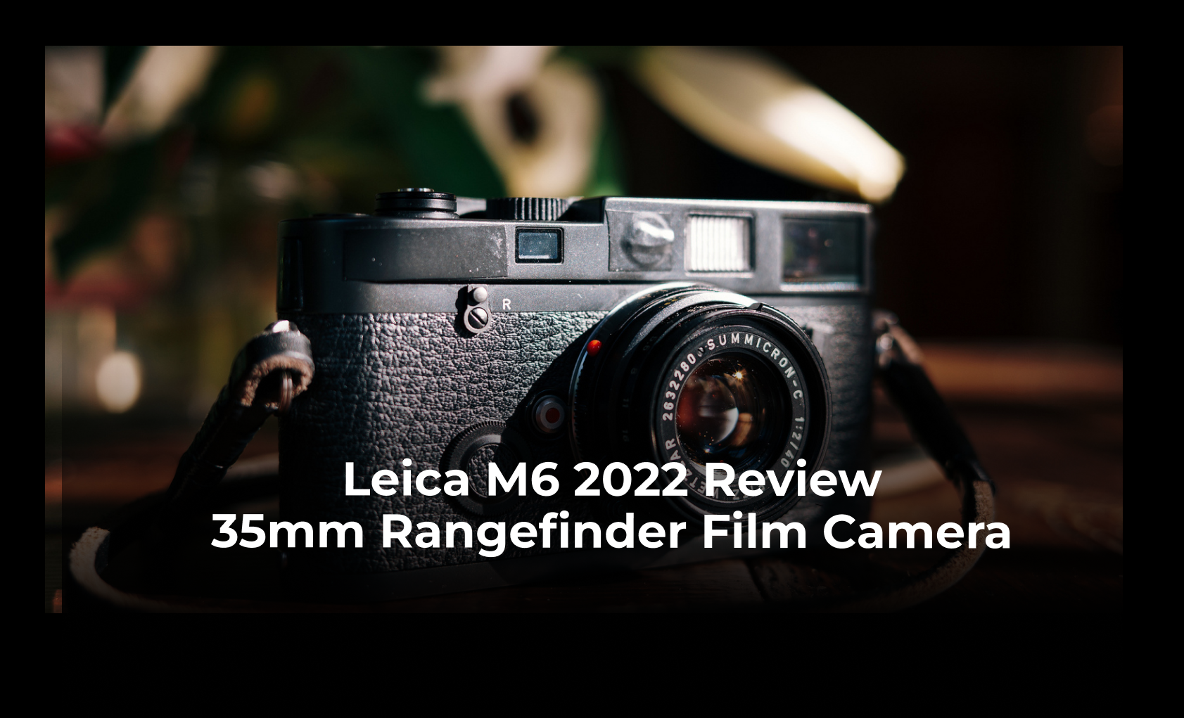 Leica M6 35mm Film Camera Review » Shoot It With Film