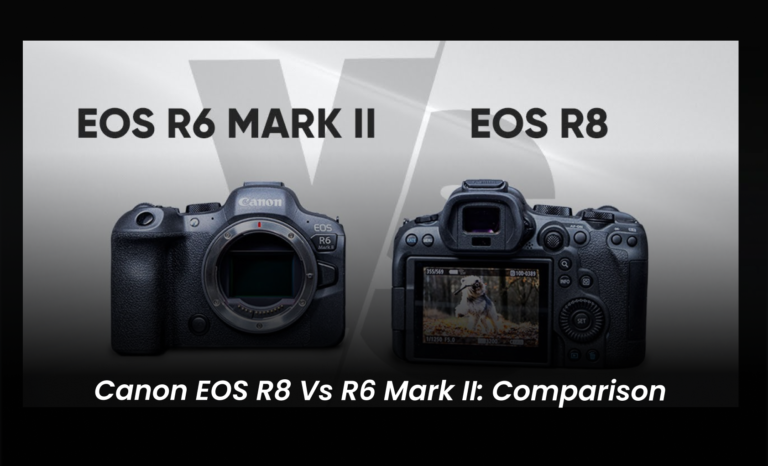 Canon EOS R8 vs R6 mark II: Comparison