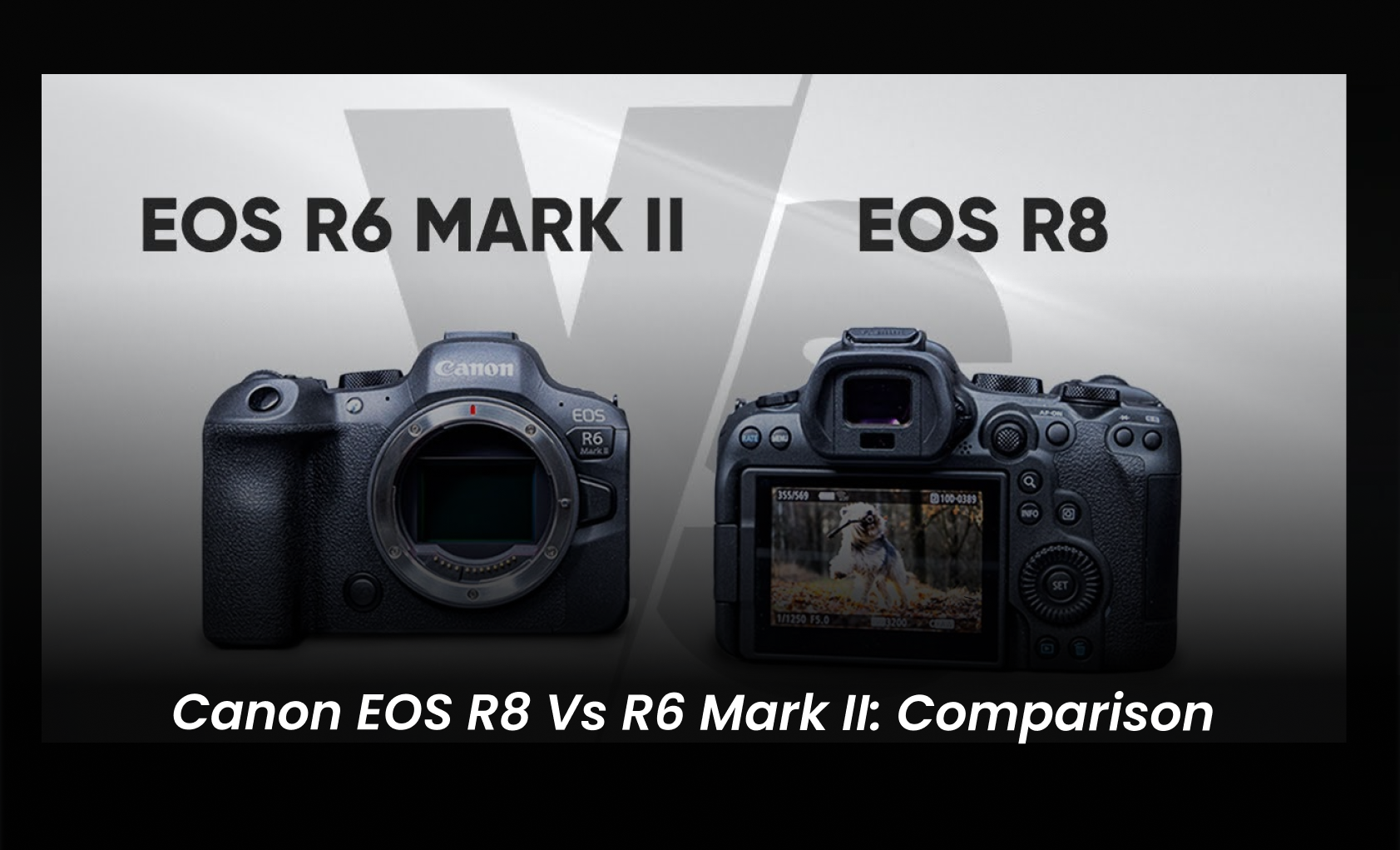 canon r8 vs m6 mark ii